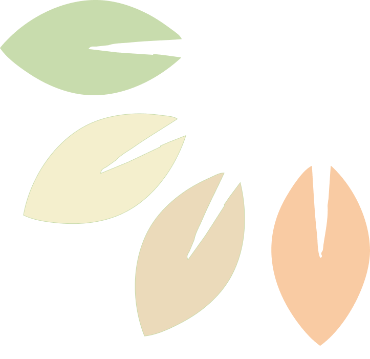 Four leaves with dark background